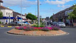 Project that will 'improve the quality of life' for those living in Carlow receives government funding