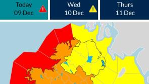 ALERT: Carlow County Council has issued safety measures as Storm Bram hits the county