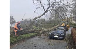LIVE: Carlow driver has miraculous escape as tree falls on car during Storm Bram