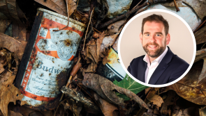 &lsquo;What&rsquo;s the agenda?&rsquo; - Frustration in Carlow over low ranking in litter survey