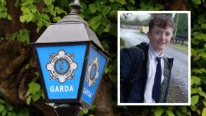 Garda&iacute; 'concerned for wellbeing' of teenage boy missing since Monday as appeal launched