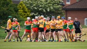 GAA: When and where to watch Carlow hurlers tricky trip north to take on Antrim live