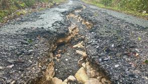 'Like an earthquake' - Famous resident sheds like on surely Carlow's worst road