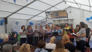 WATCH| Looney Tuners have crowds 'Carlowfornia dreaming' at the Ploughing 