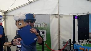 WATCH| Ploughing revellers get taste of life as a jockey with race in 'Gold Cup' for prizes 