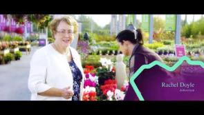 Why not? Carlow looks fantastic in this new video from Carlow Local Enterprise Board