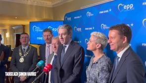 WATCH: Taoiseach Simon Harris addresses the press in Carlow's Dolmen Hotel