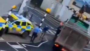 'A freak thing' - Upsetting scenes in Limerick as dead horse removed from street