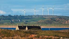 Ireland will not hit 2030 wind generation targets, CEO claims