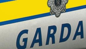 APPEAL: Witnesses and CCTV footage sought after car blaze incident in Kilkenny City 