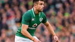 Conor Murray returns to form at the right time for Rugby World Cup