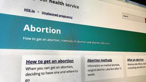Carlow-Kilkenny TD hits out at three day waiting period for access to abortion services