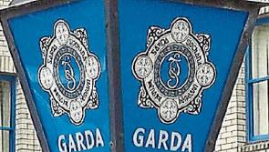 Two racehorses - trained by Tony Mullins in Gowran - killed in road traffic accident