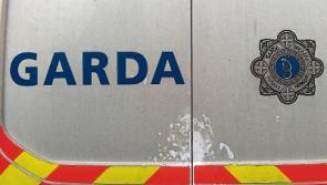 Garda&iacute; arrest man who robbed a number of batteries from motorway warning signs 