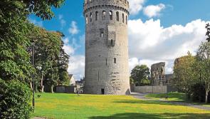 Carlow TD completes Historic and Archaeological Heritage Bill