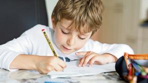 Just 1% of Ukrainian refugees attending school enrolled in Carlow - Dept of Education