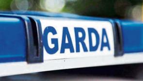 Man dies days after being involved in crash in Offaly as gardaí make major appeal