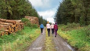  'Humans are a social species' - Irish mental health charity urges people to go outside