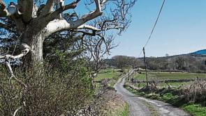 Over half a million euro in additional funding secured to improve private roads in Carlow