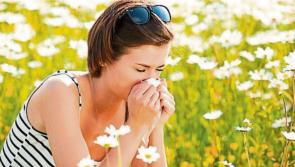 Carlow people! Helpful tips for hay fever sufferers as pollen season set to begin