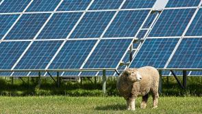Carlow council greenlights planning application for significant solar farm development
