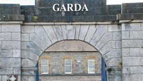 Gardaí investigate various lines of inquiry as Laois murder suspect is hospitalised