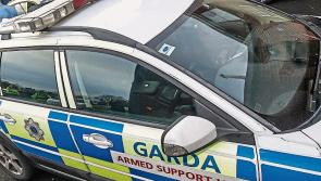 Thirty people arrested in Kilkenny during Operation Storm - a high profile Garda operation