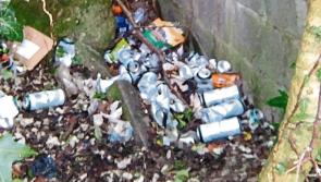 Carlow still considered 'moderately littered' after latest IBAL survey results 