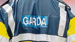 Intruders disable woman's phone line in 'particularly nasty' Kilkenny burglary