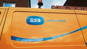 ESB issues warning to Carlow candidates and parties over dangerous poster erections
