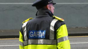 Govt approves increase in sentences for assault against Gardaí and emergency workers