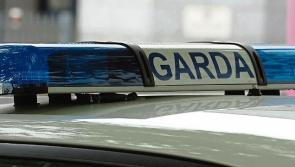 Man arrested and witnesses sought as woman dies in Clare crash