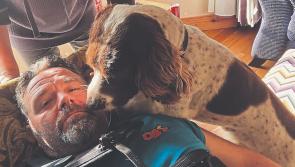 Limerick chef fractures back saving dog from drowning  
