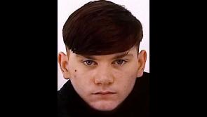 Missing 17-year-old sparks renewed garda appeal