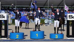 Carlow showjumper claims a spot in the top ten at Show Jumping World Championships