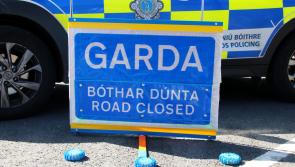 Bus driver dies in collision with bridge in Limerick 