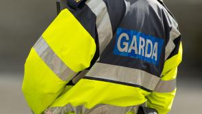 BREAKING: Man (30s) arrested in connection with violent Garda hit-and-run in Dublin