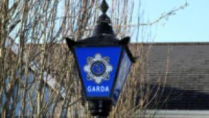 Garda appeal after business smashed up with golf club during criminal damage incident 