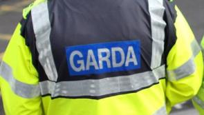 Man threatened to 'bite the faces off' gardaí before allegedly biting one on the hand