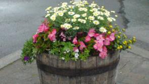 Almost 30 Irish towns and villages to benefit from €2.6m streetscape enhancement fund