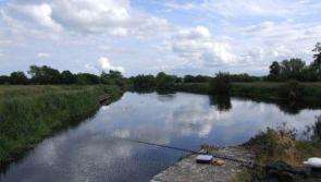 May Bank Holiday water safety appeal issued for Carlow 