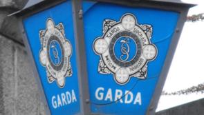 Carlow Gardaí issue appeal after a man acts aggressively towards young woman in Pollerton 