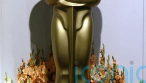 Irish language film An Cailín Ciúin submitted for Best International Feature at the Oscars 