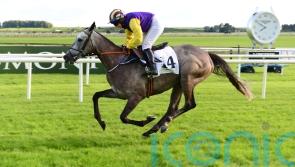 Princess Zoe prepares for overseas mission with 'mini race' at Leopardstown 