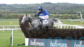 'We'll pray for the ground' - Fahy hopes conditions favour Mister Fogpatches at Gowran