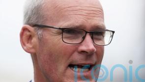 Coveney believes progress on NI protocol possible if EU and Britain work together