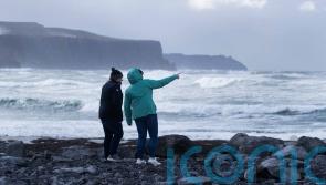 Storm Eunice: Tributes paid to council worker killed by falling tree while clearing storm debris