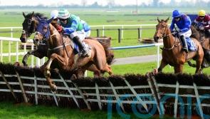 Former Stayers hurdle runner-up back over fences for Leinster National at Naas