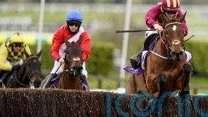 Gold Cup hero Minella Indo and A Plus Tard heading for Cheltenham rematch 
