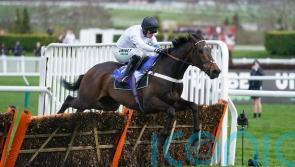 Cheltenham stars Constitution Hill and Honeysuckle could still clash at Punchestown 
